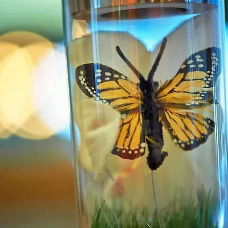 Hotel Sorell Boutique-hotel Seidenhof Zurigo