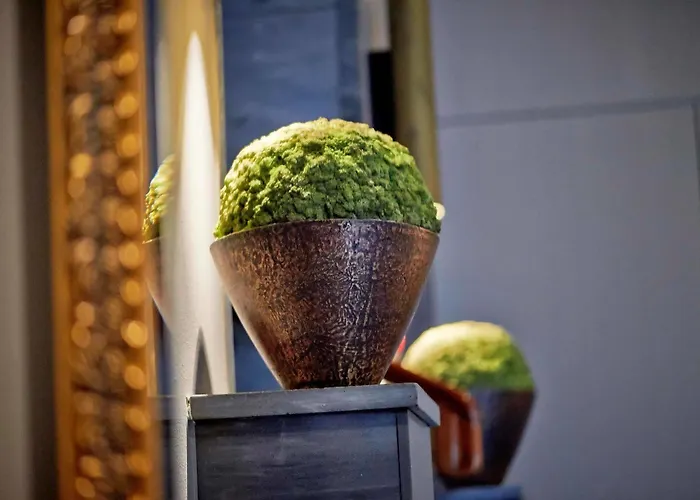 Sorell Boutique-hotel Seidenhof Hotel 4*