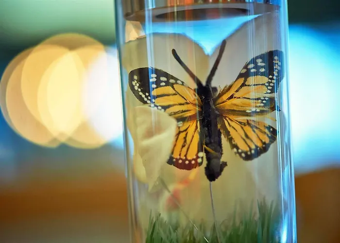 호텔 Sorell Boutique-hotel Seidenhof 취리히