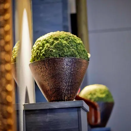 Sorell Boutique-hotel Seidenhof Hotel 4*